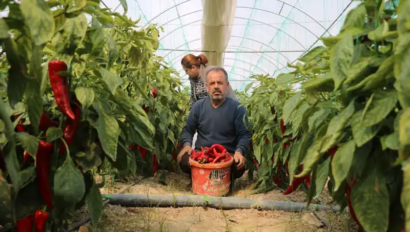 Fiyat Artışı Şok Etti: 50 TL’lik Ürün 80 TL’ye Çıktı!