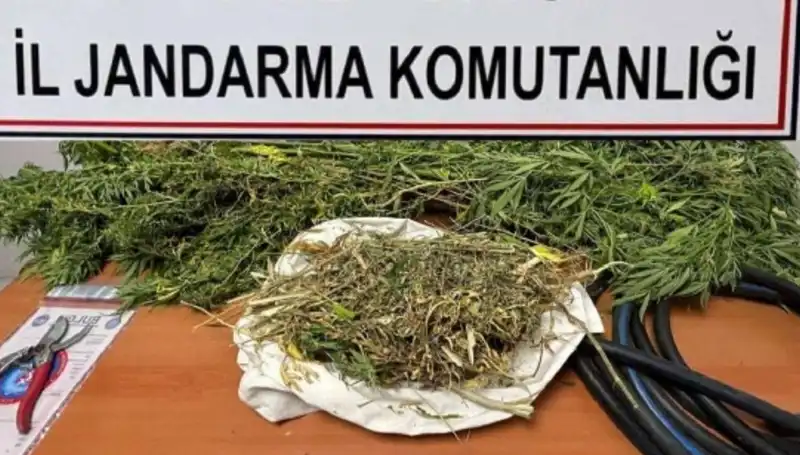 Niğde'de Şok Uyuşturucu Operasyonu: 500 Gram Esrar Ele Geçirildi!