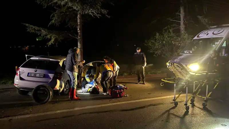 ** Ağaca Çarpan Araçta Yaşanan Kaza: Bir Can Kaybı, İki Yaralı!**