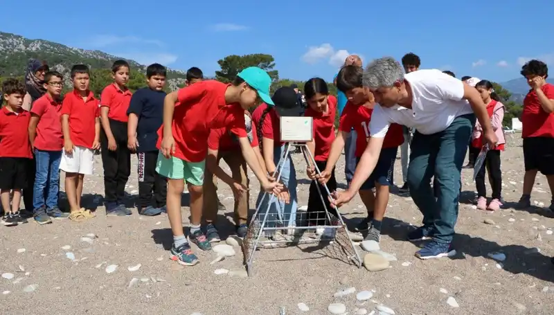 Kemer'de Caretta Caretta Koruma Yasakları Başladı: Bilmeniz Gerekenler