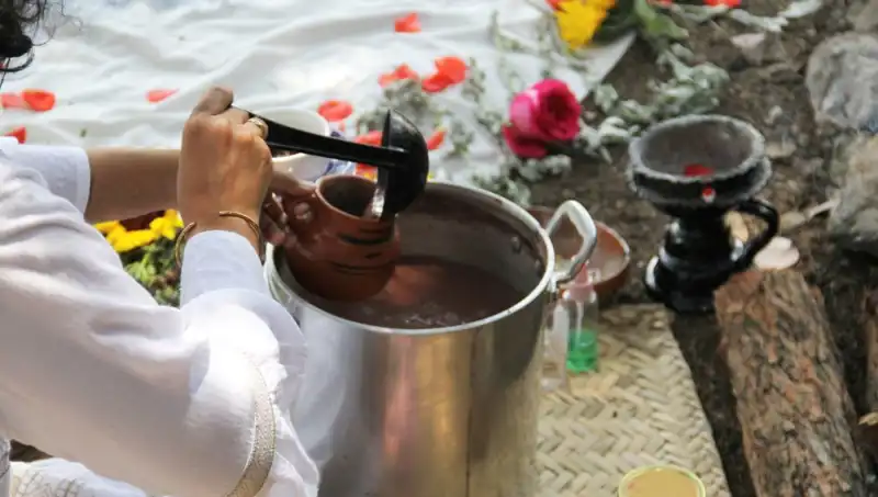 Ayahuasca: Doğanın Şifalı İçeceği ve Yasal Durumu Nedir?
