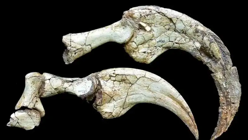 Gobi Çölü’ne Gizemli Yolculuk: Yeni Dinozor Türü Keşfedildi!