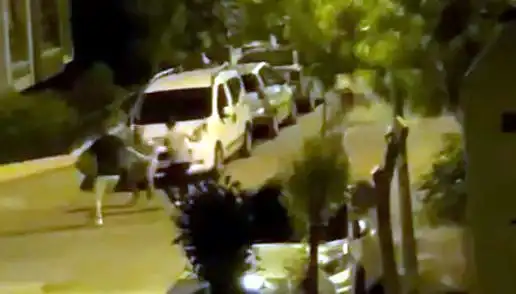 Avcılar’da Feci Saldırı: Vatandaş Korkunç Bir Durumdan İki Saniyede Kurtarıldı!