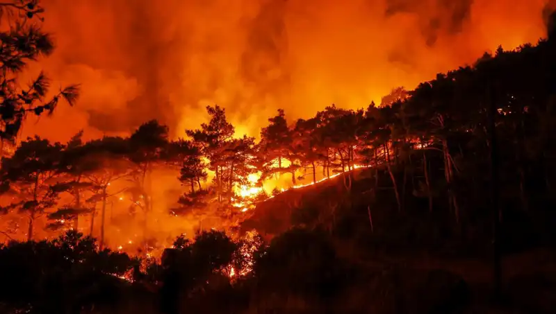 Lazkiye'deki Orman Yangınları Kontrol Altına Alınmaya Çalışılıyor: AB Yardım Talep Edildi