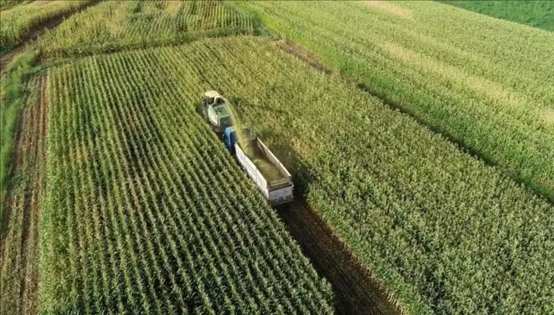 2025 Mart Ayı Mazot ve Gübre Desteği Ödemeleri İçin Son Durum Nedir?