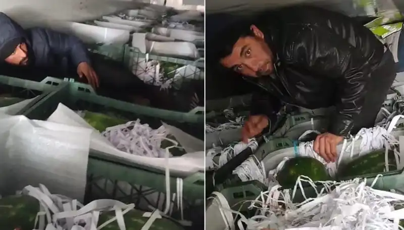 Karpuzların Arasından Kimler Çıktı? Sıradışı Göçmen Hikayesi