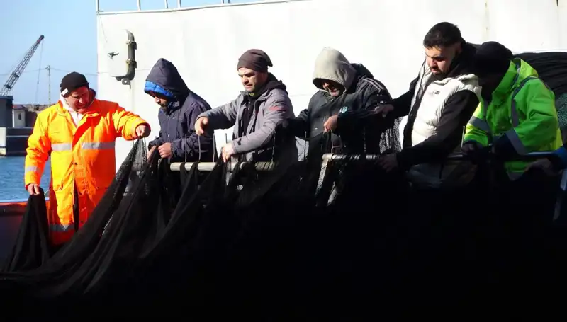 Hamsi Avı Bitince Tekne Operasyonları Erken Sonlandı