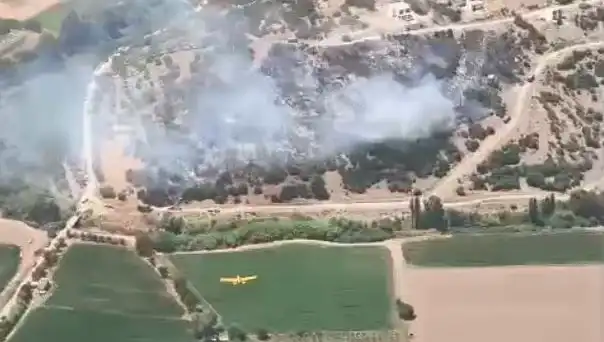 Milas'taki Yangın Sonunda Kontrol Altına Alındı: Olayın Ayrıntıları