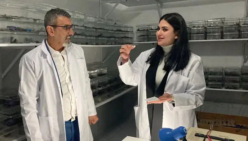Akrep Zehri ile Şekerin Eşsiz Buluşması: Lezzet mi, Tehlike mi?