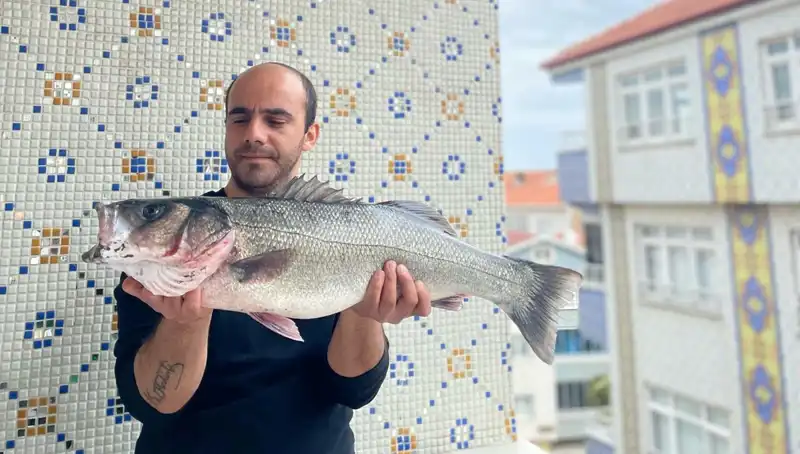 Dev Levrek Avında Rekor Kırıldı: 7,5 Kiloluk Balık Tutan Şanslı Pescaor