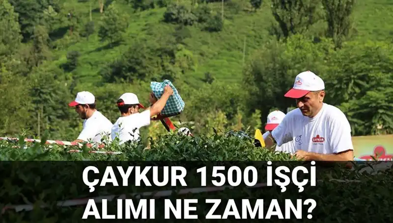 Çaykur İşçi Alımı İçin Gözler Başvuru Tarihinde!