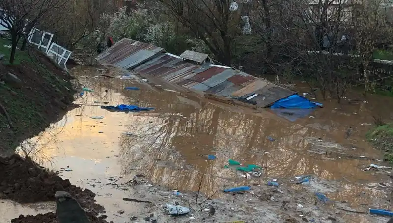 Bingöl'de Sağanak Yağışların Ardından Hayvancılık Krizi Baş Gösterdi