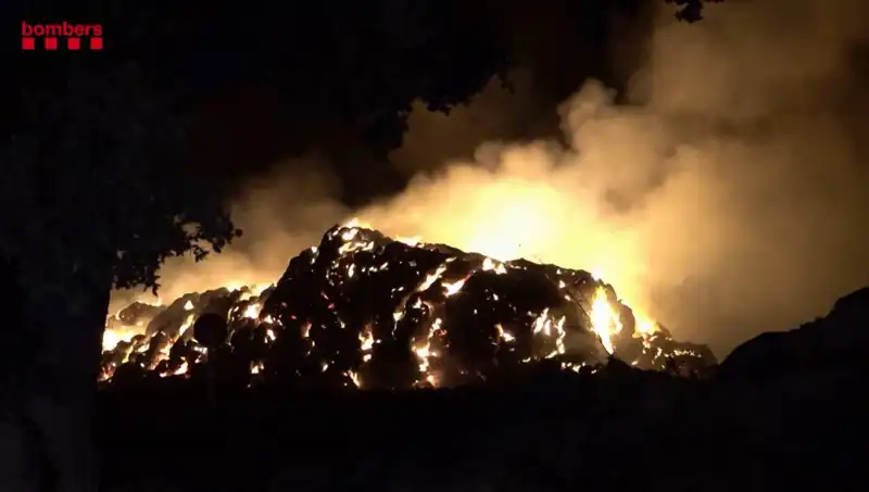 İspanya'daki Orman Yangınlarının Nedenleri ve Son Durumu Nedir?