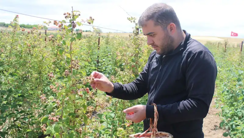 Hobi Olarak Başladı, Şimdi Milyonlarca Talebe Koşturuyor!