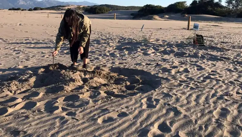 Gece Sahillere Giriş Yasağı: Cezası Duyduğunuzda Şok Olacaksınız!