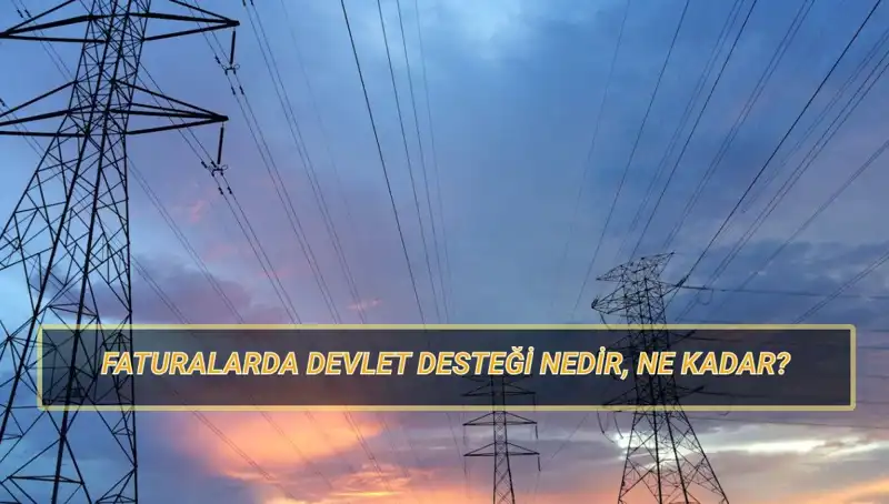 2025'te Devlet Destekli Fatura Ödemeleri: Doğalgaz ve Elektrik Yardımları Kimlere Verilecek?