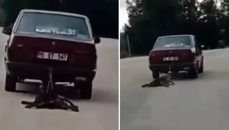 Köpeğini Aracıyla Sürükleyen Sürücü, Sosyal Medyada Tepki Topladı