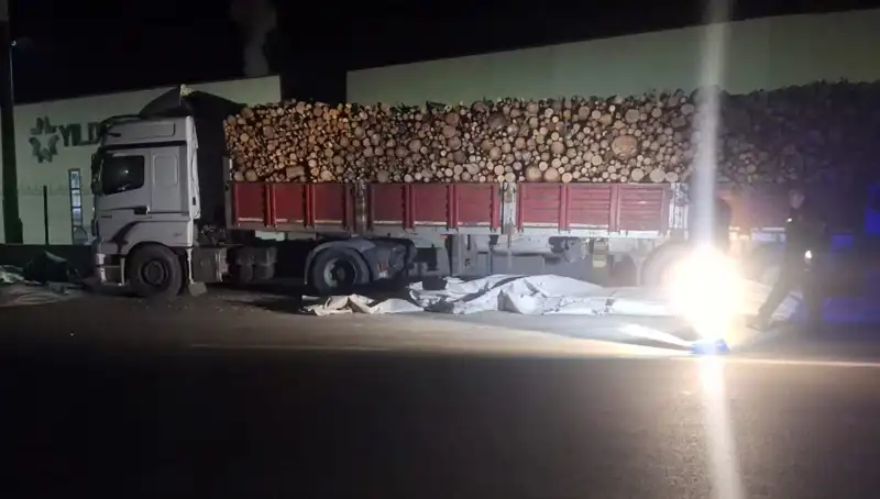 TIR Sürücüsüne Feci Kaza: Hem Brandayı Topladı Hem Araç Çarptı