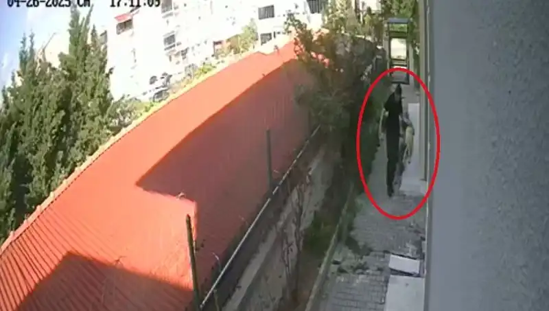 Veteriner Doktorun Şok Eden İtirafı: Evdeki Köpekleri Parçaladı!