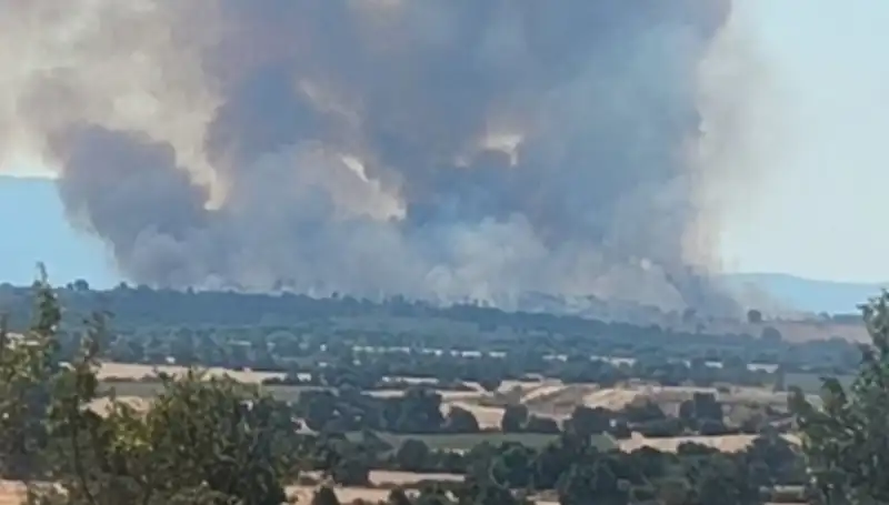Komşu Ülkedeki Orman Yangını Edirne’yi Sarmaladı: Neler Oluyor?