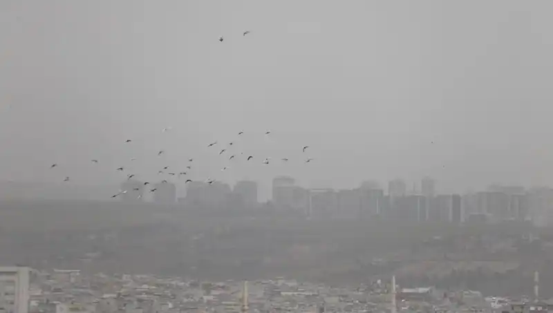 Şanlıurfa'da Toz Bulutu Hayatı Olumsuz Etkiliyor