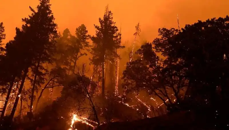 Orman Yangınlarında Şok Gelişme: 13 Şüpheli Tutuklandı!