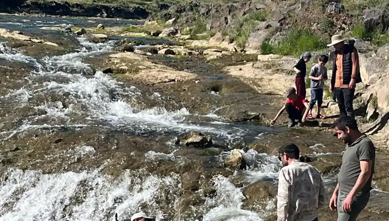İnci Kefali Göçü: Turistlerin İlgi Odağı Olmayı Başardı