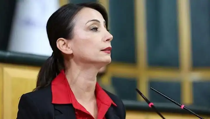 Öcalan’ın Silah Bırakma Çağrısı ve DEM Parti Siyasi Turu: Neler Bekleniyor?