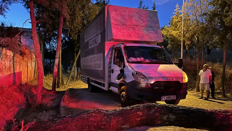 Seyir Halindeki Kamyonetin Üzerine Devrilen Çam Ağacı Şaşkınlık Yarattı