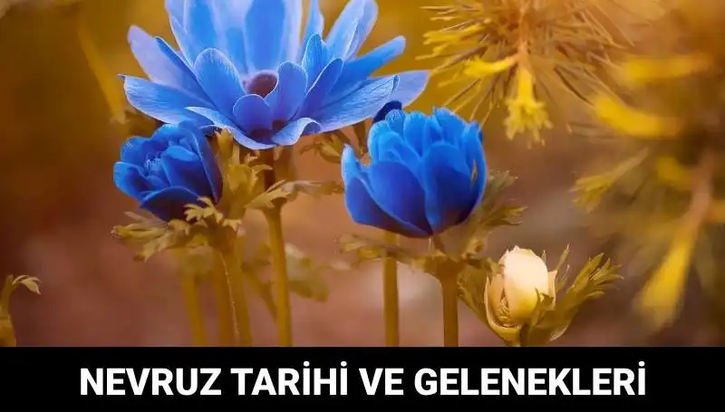 Nevruz Bayramı: Tarihi ve Gelenekleri Hakkında Bilinmesi Gereken Her Şey