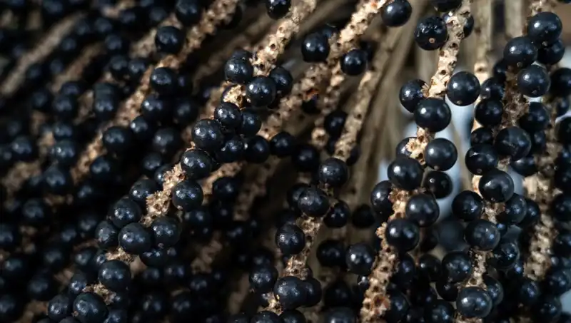 Böbrek Sağlığınızı Koruma Yolları: 5 Basit Yaşam Tarzı Değişikliği