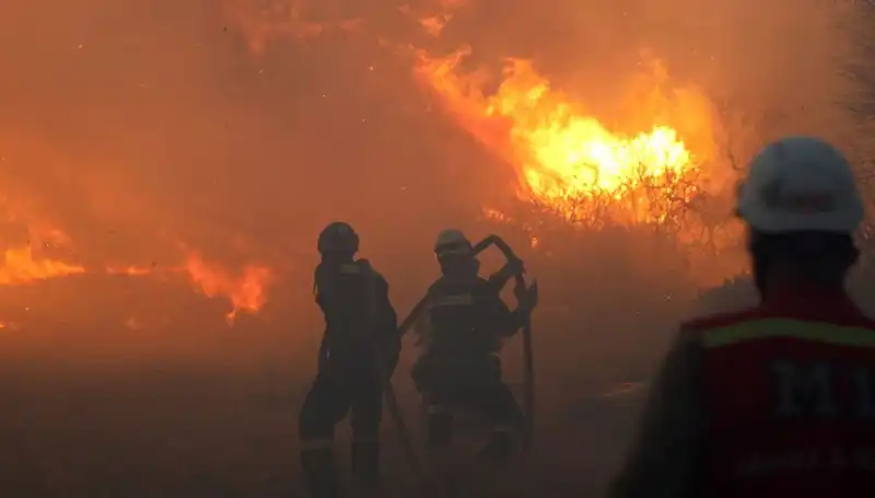 İzmir Çeşme'de Orman Yangını: Üç Mahalle Tahliye Edildi, Karayolu Kapatıldı