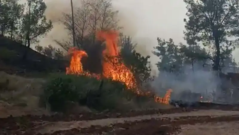 Denizli Orman Yangınında 7 Hektar Alan Kül Oldu: Ayrıntılar Ortaya Çıktı