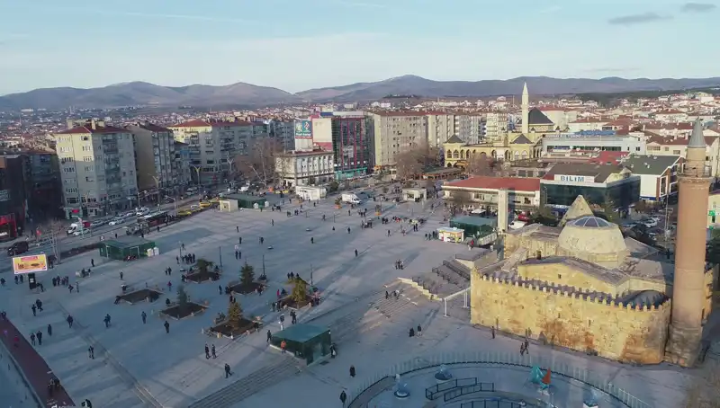 Kırşehir'de Keşfedilen Yeni Böcek Türü Bilim Dünyasını Şaşırttı