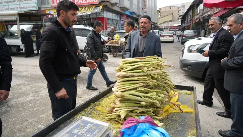 Dağlardan Gelen Doğal Şeker: Sağlığa Faydaları ve Mucizevi Etkileri