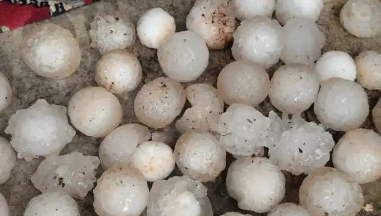 Şanlıurfa’da Kar Topu Büyüklüğünde Dolu Yağışı Şehirde Şok Etkisi Yaratıyor