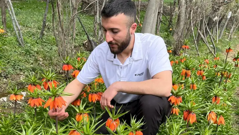Ağlayan Gelin: Doğanın Gözbebeği ve Kayıtlı Özellikleriyle Koruma Altında