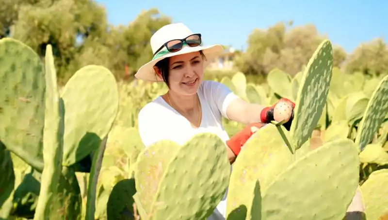 Kurarken Alay Edilen Şirket, 10 Ton Ürünle Yurt Dışına Açılıyor!