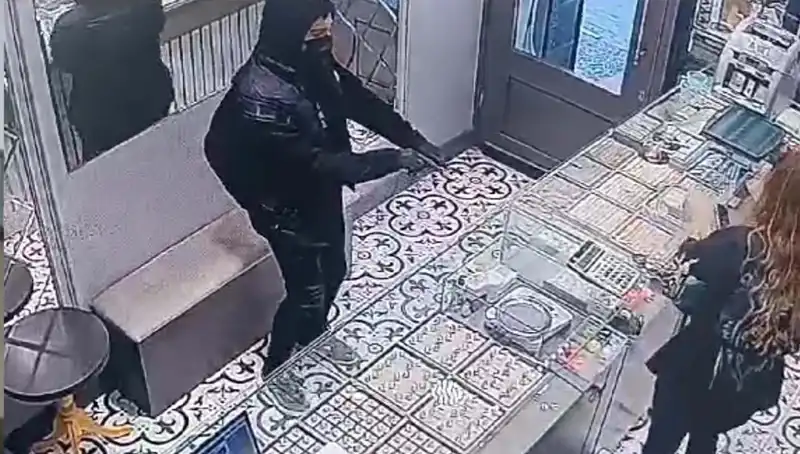 Soygun Girişimi, Cesur Kedi Tarafından Engellendi!