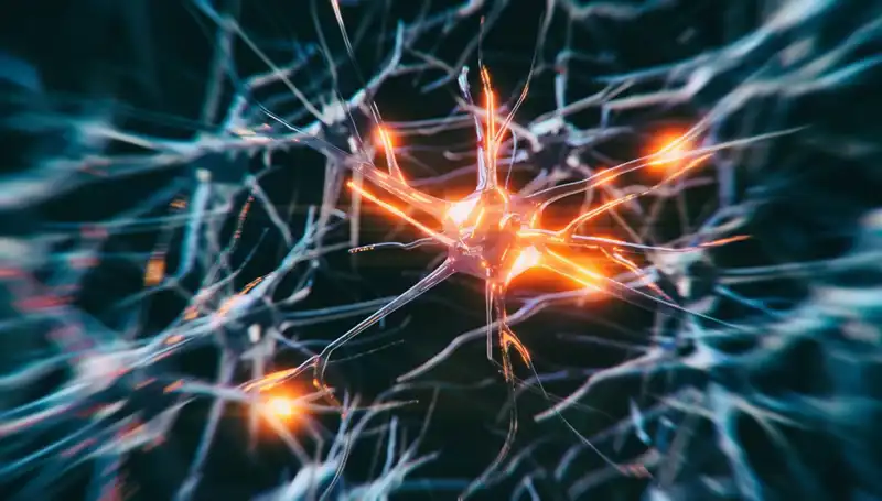 Alzheimer Vakalarındaki Dramatic Artışın Arkasındaki Sebepler Neler?