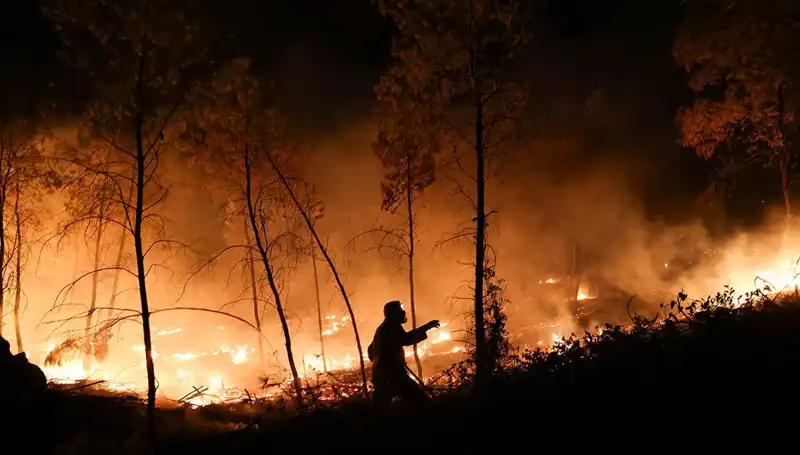 Yunanistan Orman Yangınlarıyla Mücadele Ediyor: Son Durum ve Jandarma Müdahelesi