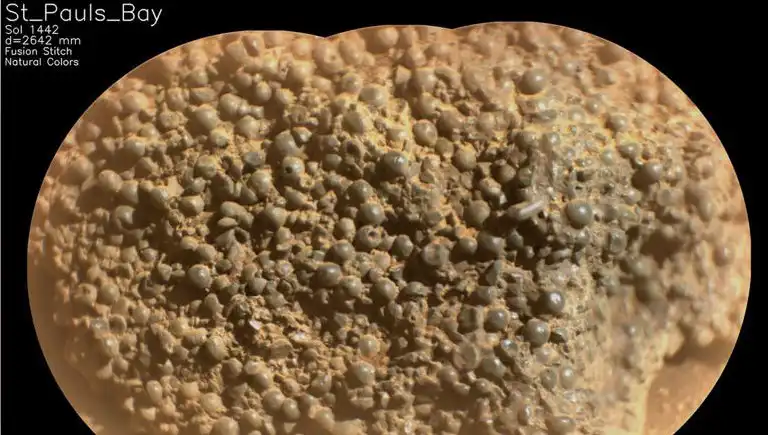 Mars’ta Şaşırtıcı Keşif: Örümcek Yumurtaları mı Bulundu?
