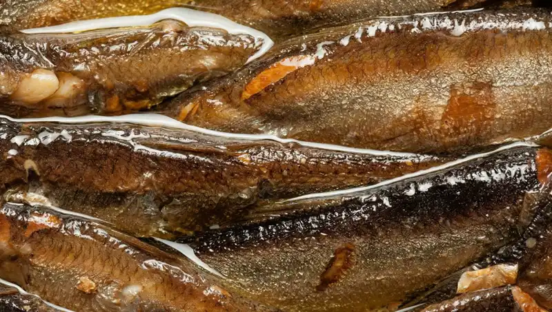 Doğanın Aspirini: Kalp ve Beyin Sağlığını Korumak İçin Haftada İki Porsiyon Yeterli